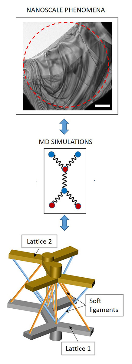 Nanoscale Waves in 2D